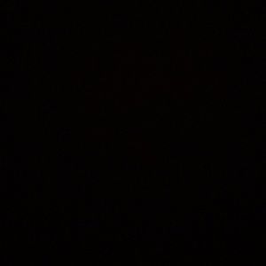 Meet your Posher, Elysse